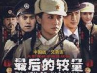 《最后的较量》全集-电视剧