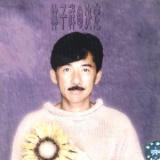 决定