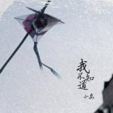 我不知道 (宣传版)